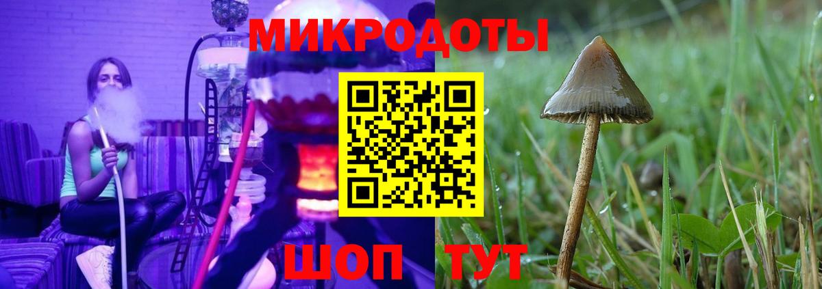 Семёнов  Псилоцибиновые грибы ЛСД  Вход с VPN 