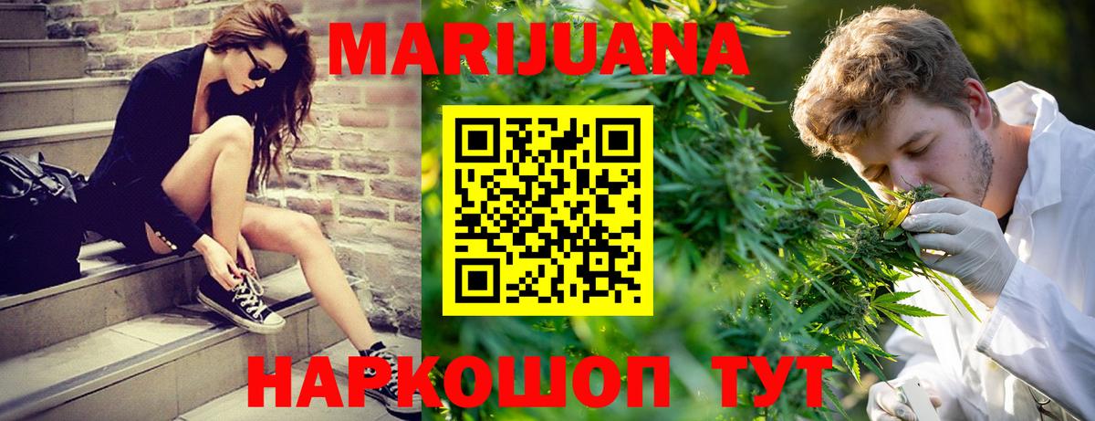 Бошки Шишки OG Kush  Бошки Шишки тримм  Вход с VPN  Семёнов  Марихуана VHQ  Бошки Шишки семена 